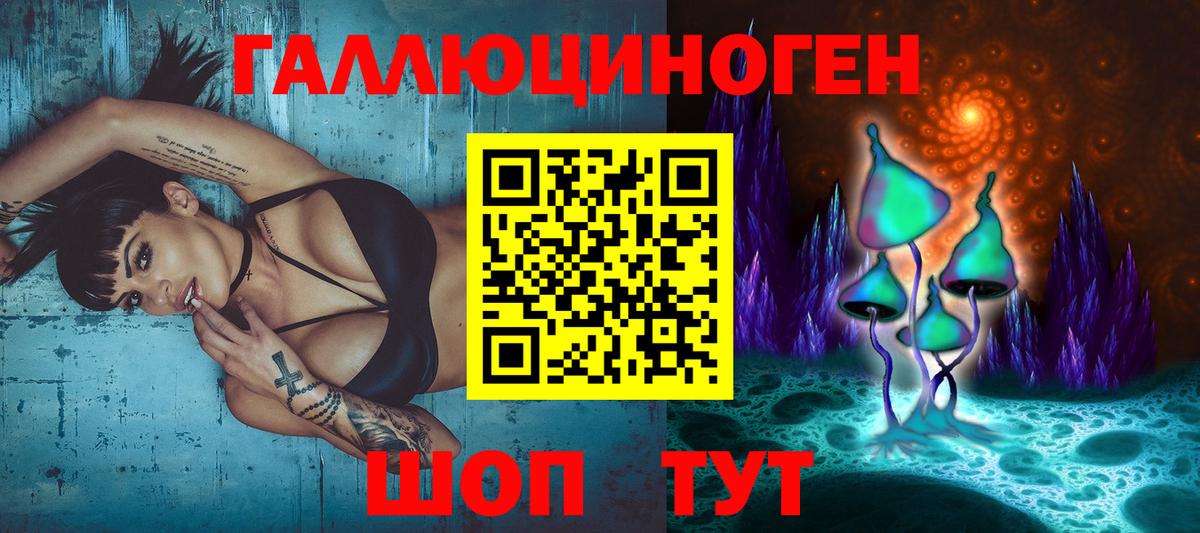 как найти   Вход с VPN  Выкса  Галлюциногенные грибы GOLDEN TEACHER 